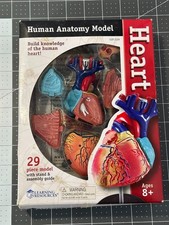 Learning Resources Human Anatomy Model LER 3334 The Heart 29 Piece Model NEW