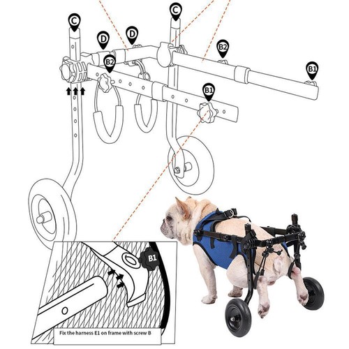 Silla de ruedas ajustable para mascotas extremidad trasera pierna trasera gato discapacitado 9P6T perro movilidad RBY - Imagen 12 de 17