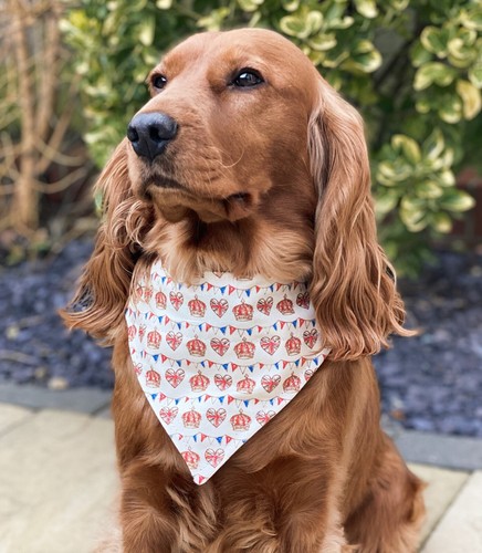 Royal Coronation King Crown UK Dog Regal Bandana Slip On Collar - Picture 7 of 9