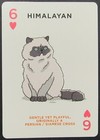Himalayan Cat Single Swap Wide Playing Card Unused