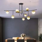 Home Lamp Living Room Pendant Light Shop Ceiling Light Hotel Chandelier Lighting