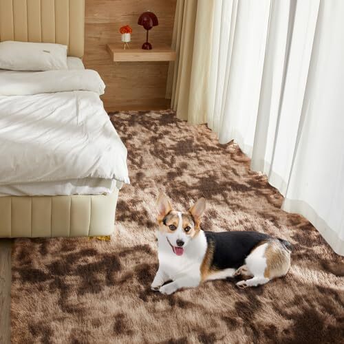 Ultra Soft Rug for Living Room, 4X6 Fluffy Shag Area Assorted Colors , Sizes - Picture 101 of 108