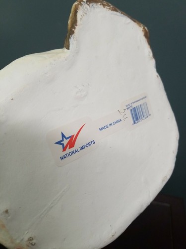 Muñeco de nieve National Imports, 15 1/2 pulgadas - Imagen 5 de 5