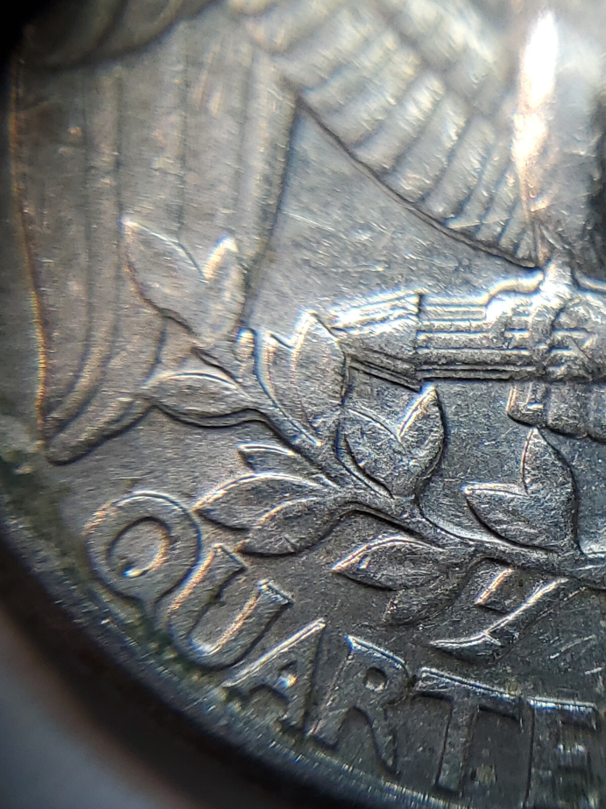 Picture 16 of 17