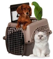 Petmate Two Door Top Load 24-in Pet Kennel, Metallic Pearl Tan & Coffee Ground B on sale Petmate Two Door Top Load 24-in Pet Kennel, Metallic Pearl Tan & Coffee Ground B on sale