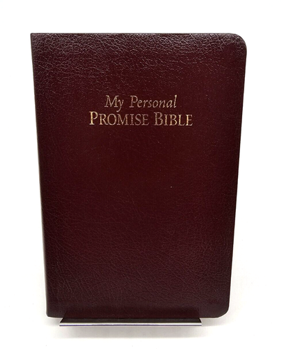 Meine persönliche Verheißungsbibel für die Mutter’s