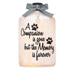Stony Creek A Companion is gone Dog Sympathy Lighted Bottle Pet Memorial 8" NIB
