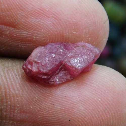 100 Ct Natural Tourmaline Mix Color Lot Gemstone CERTIFIED Loose Uncut Rough Lot - Picture 7 of 15