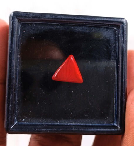 Piedra preciosa suelta opaca de una pieza de coral rojo de 2-3 quilates certificada Italia 24N - Imagen 2 de 6