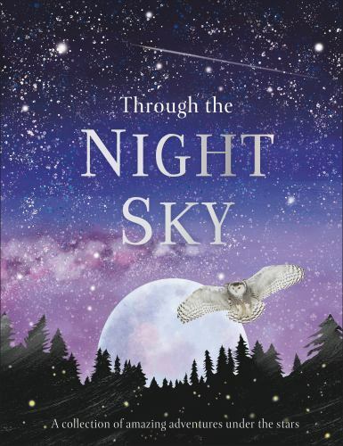 Through the Night Sky, Hardcover by Dorling Kindersley, Inc. (COR), Brand New... - Foto 1 di 1