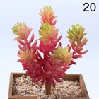 Bild 32 von 55