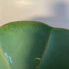 Picture 6 of 6