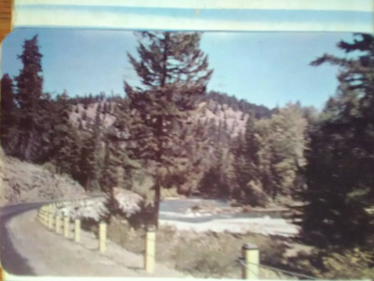 Picture 12 of 12