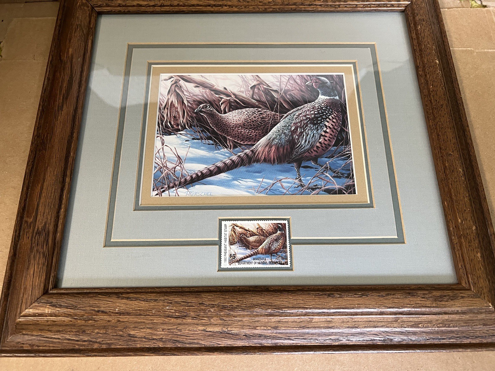 Picture 5 of 16