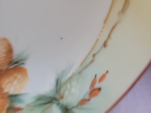 Lot of 3 Fall-Themed Dishes – Limoges Bowl + IRIS Bavaria Trinket Dish Favorite - Picture 7 of 17