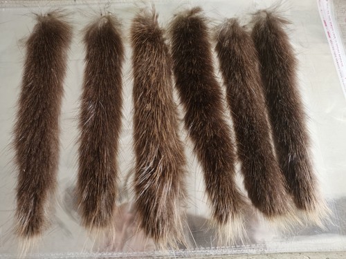 Piel de castor curtida natural real piel de piel de piel, 4 * 4 cm hágalo usted mismo para juguete de gato mascota 5 piezas - Imagen 15 de 16