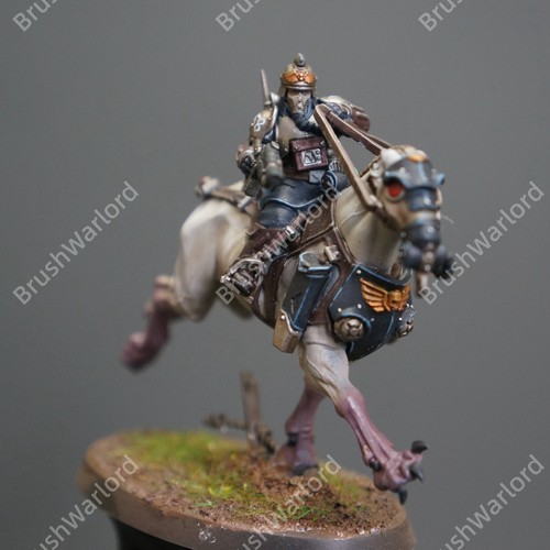 Death Riders Imperium Armies Astra Militarum Presale Painted Warhammer40K AU$880 - Picture 8 of 12