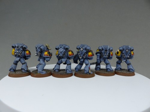 Warhammer 40k, wolves, marine, blood claw, griffe sanglante, tactical, firstborn - Picture 7 of 7