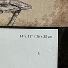 Photo 5/11