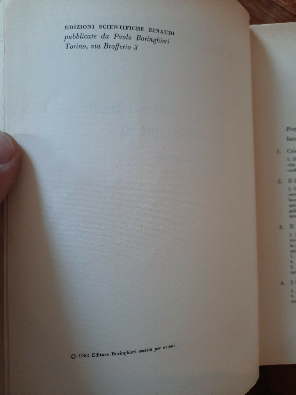 Foto 7 di 7