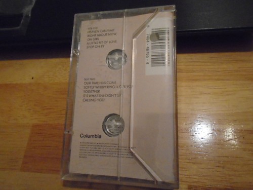 SEALED RARE PROMO Paul Young CASSETTE TAPE Other Voices PINK FLOYD Stevie Wonder - Picture 2 of 2