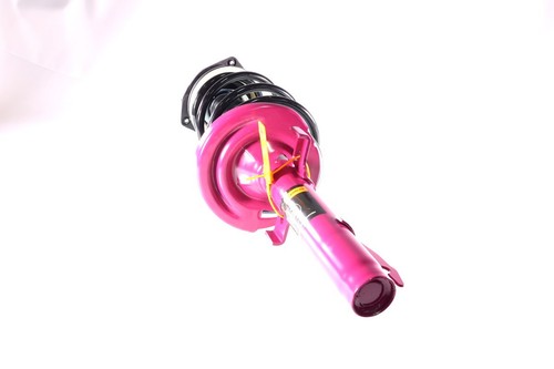 2x Jambe de Suspension Amortisseur PRO Avant pour Renault Scénic II 1.5 DCi 2.0 - 第 21/24 張圖片