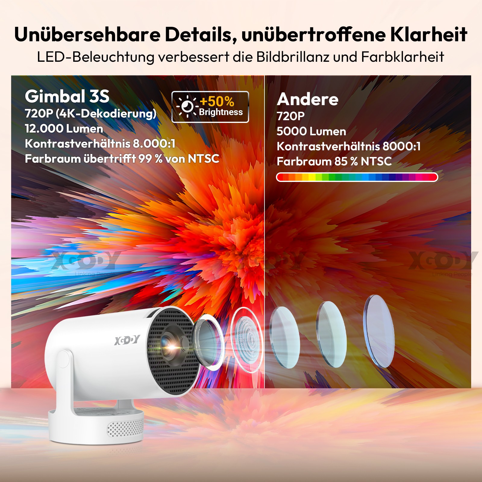 Bild 42 von 64