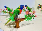 Australian Rainbow Lorikeet Parrot Bird 3D Pop Up Greeting Card Australia Spring