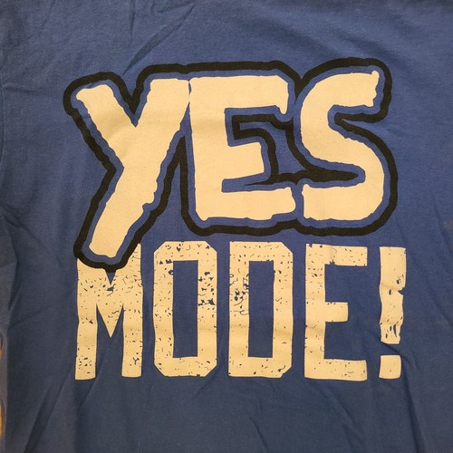 Camiseta Yes Mode Brie Bella Daniel Bryan Danielson M Mediana WWE NXT Twins AEW - Imagen 1 de 8