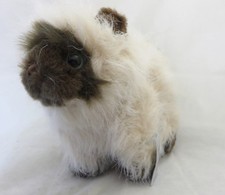 Webkinz Himalayan Cat kitten HM165 with code w/ code
