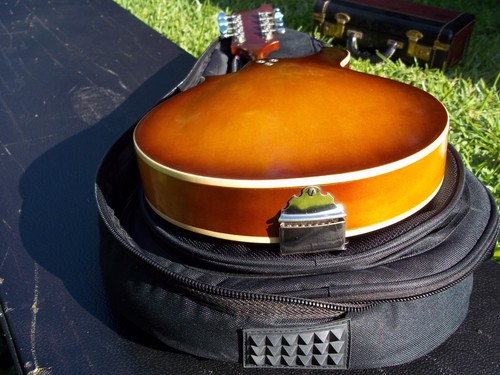 Harmony USA H425 Batwing Mandolin. ...PROJECT!..... w/ Road Runner Gig Bag - Picture 5 of 8