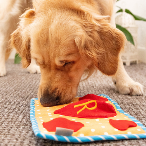 Celebration Dog Toy Enrichment Pawty Snuffle Crinkle Squeak Treat Hide - Picture 31 of 38