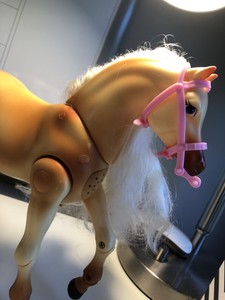 barbie horse ebay