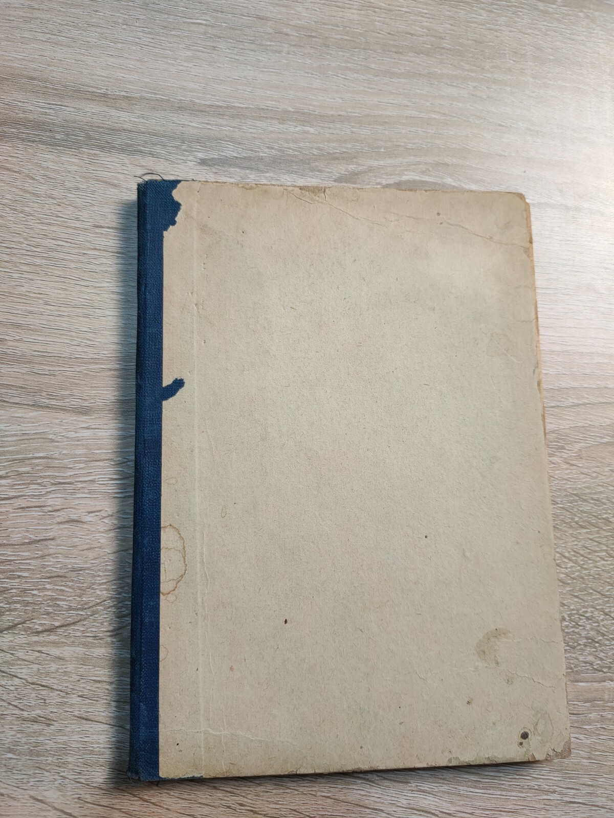 Bild 15 von 15
