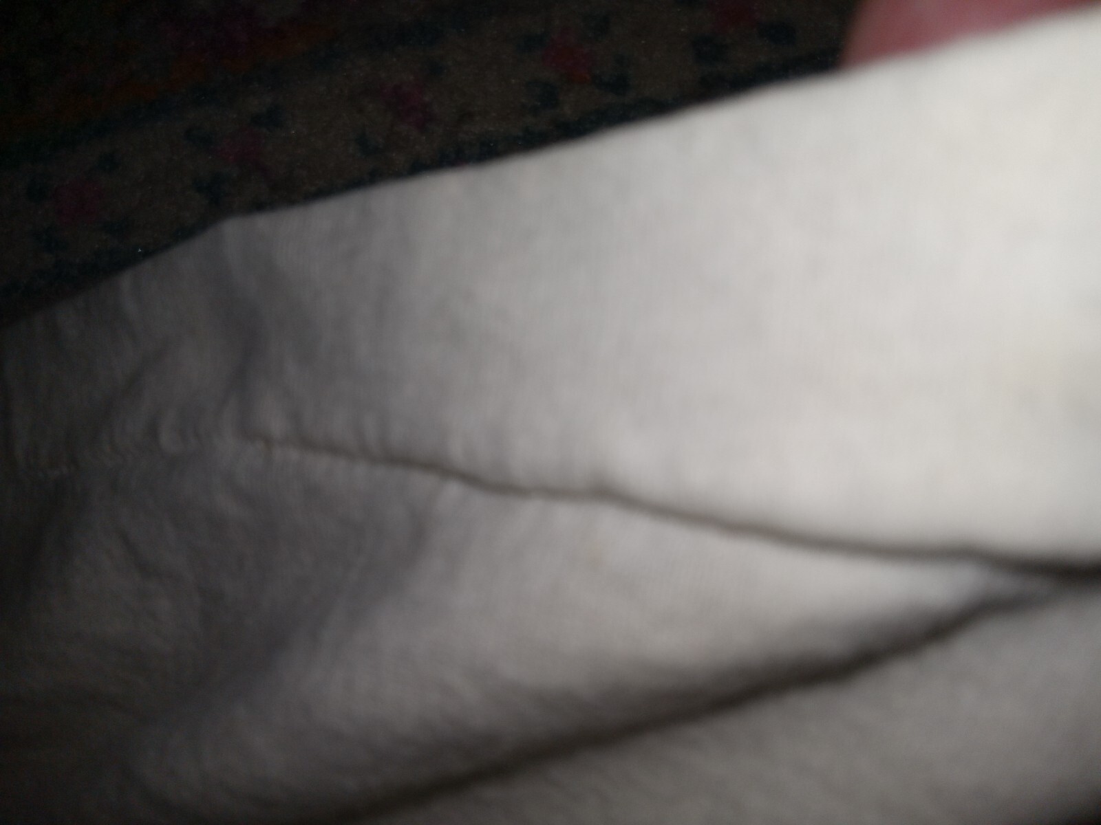Picture 8 of 9