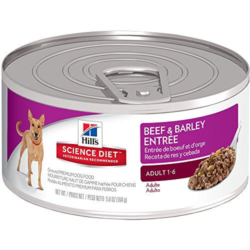 science diet beef