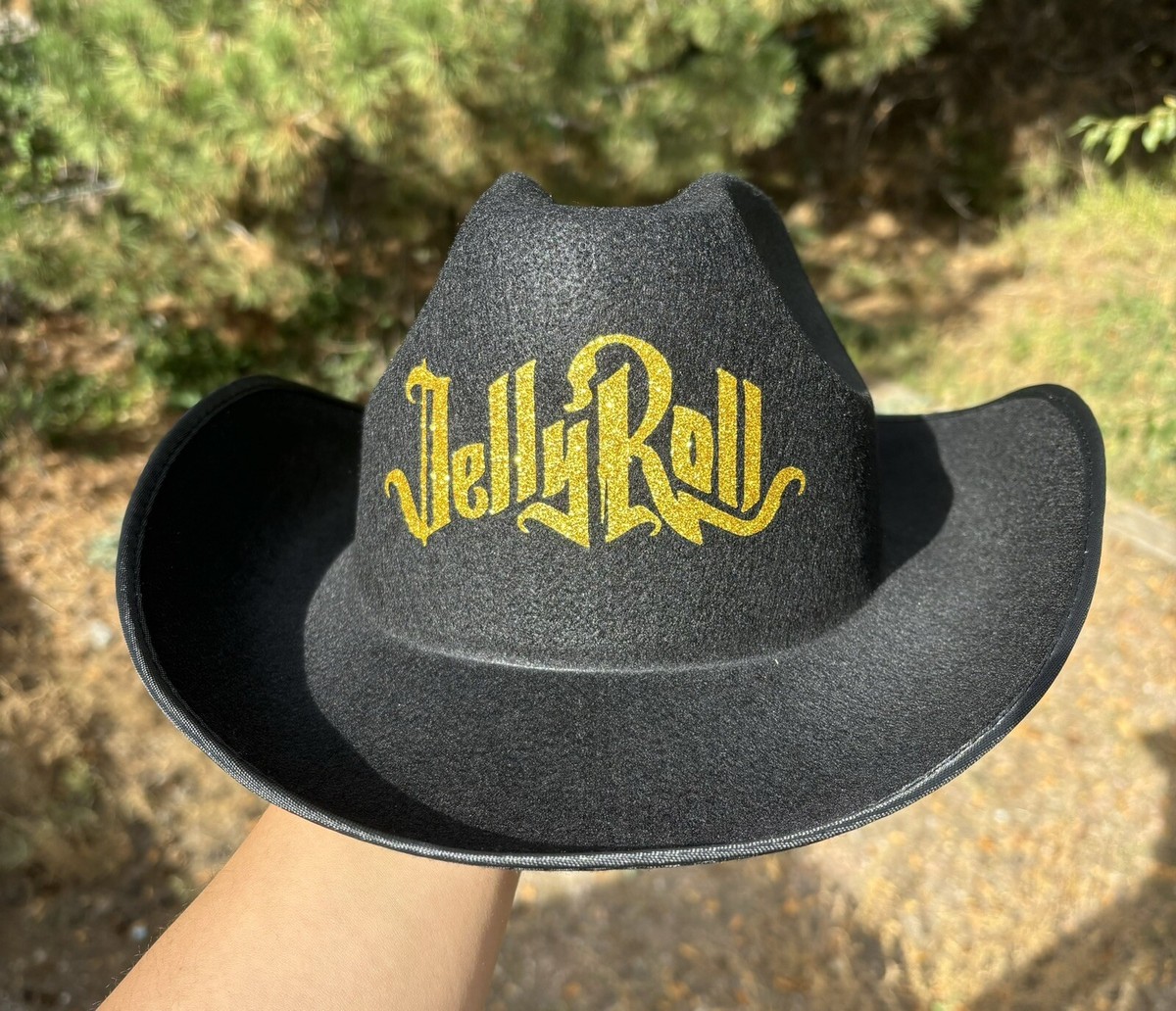 Cowboy Glitter Black Stetson Adult Hat Cowboy Glitter Black Stetson Adult Hat