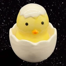 Ceramic Salt and Pepper Shaker Set 2 pcs Pier 1 Hatching Baby Bird Chick 3”T