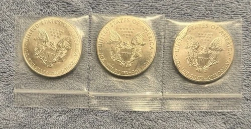 2012 American Silver Eagle 1 Troy Oz .999 Fine Silver - Slight Toning