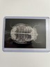 2024 Topps Allen & Ginter - Oregon Zoo X-Ray #XR-7 Western Pond Turtle