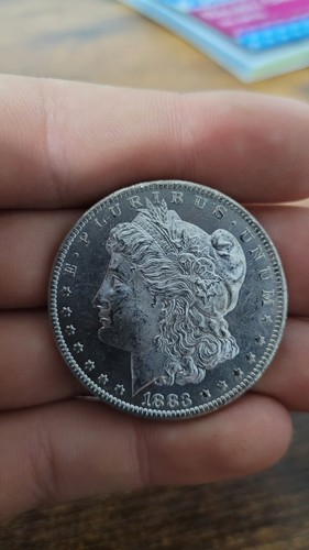 *1883 O* BU MS+ MANDÍBULA CAÍDA ESCARCHADA DMPL/PL ESPEJOS CAMAFEO! ¡VIDEO MORGAN DOLLAR! - Imagen 5 de 17