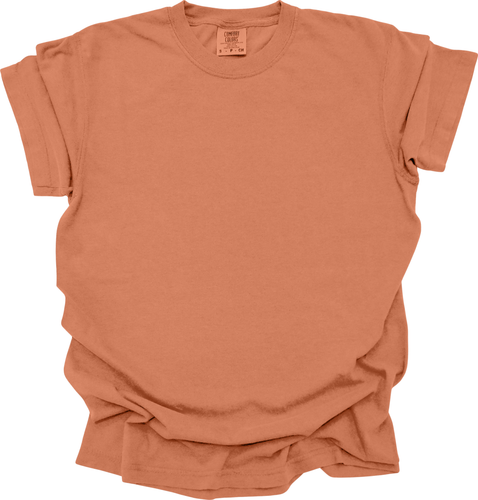 True Patriot Charlie Kirk Comfort Colors T-Shirt - Picture 11 of 100