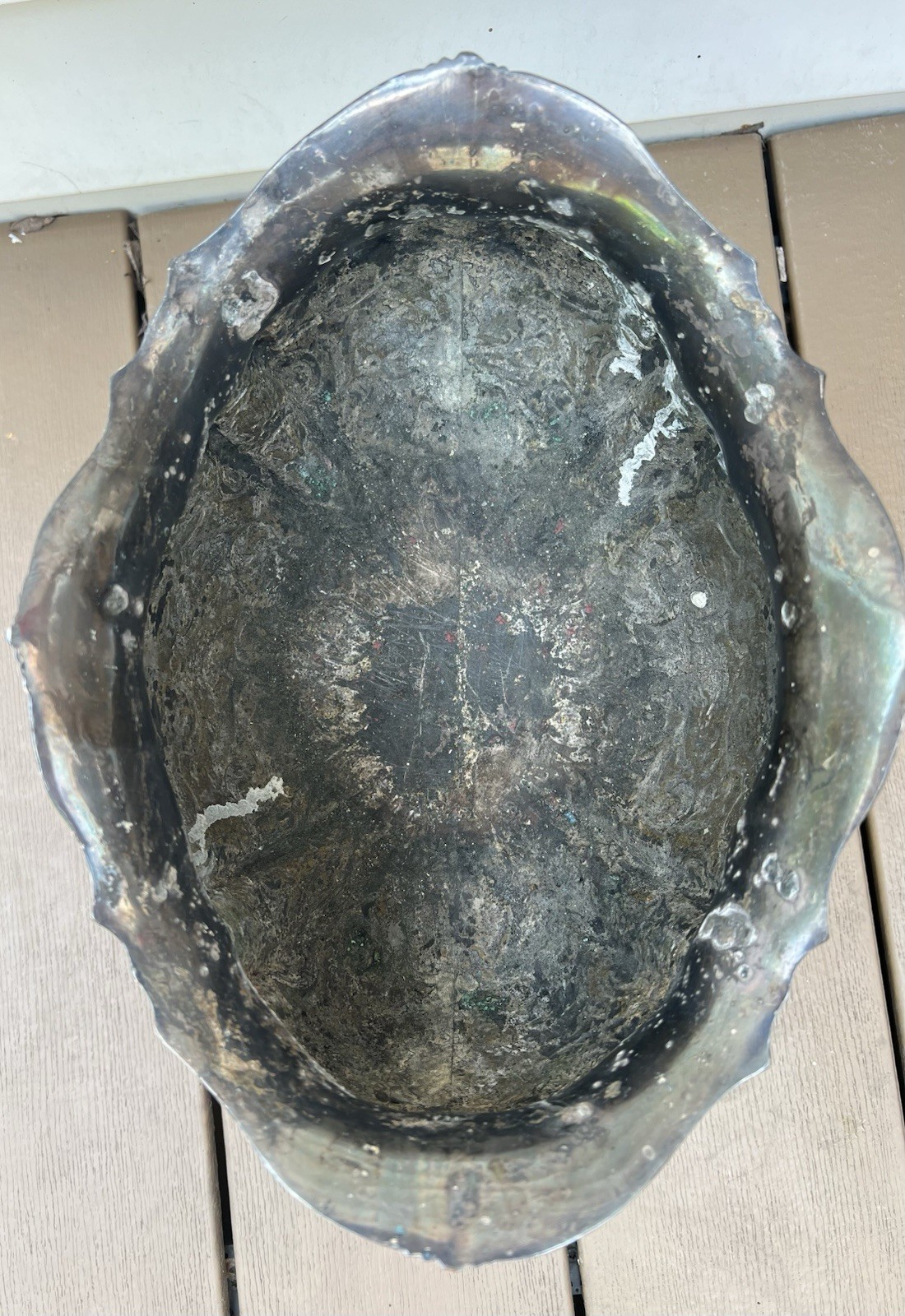 Picture 5 of 8