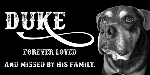Grave marker Personalized Pet Stone Memorial Granite Plaque Human headstone dog - 第 1/24 張圖片