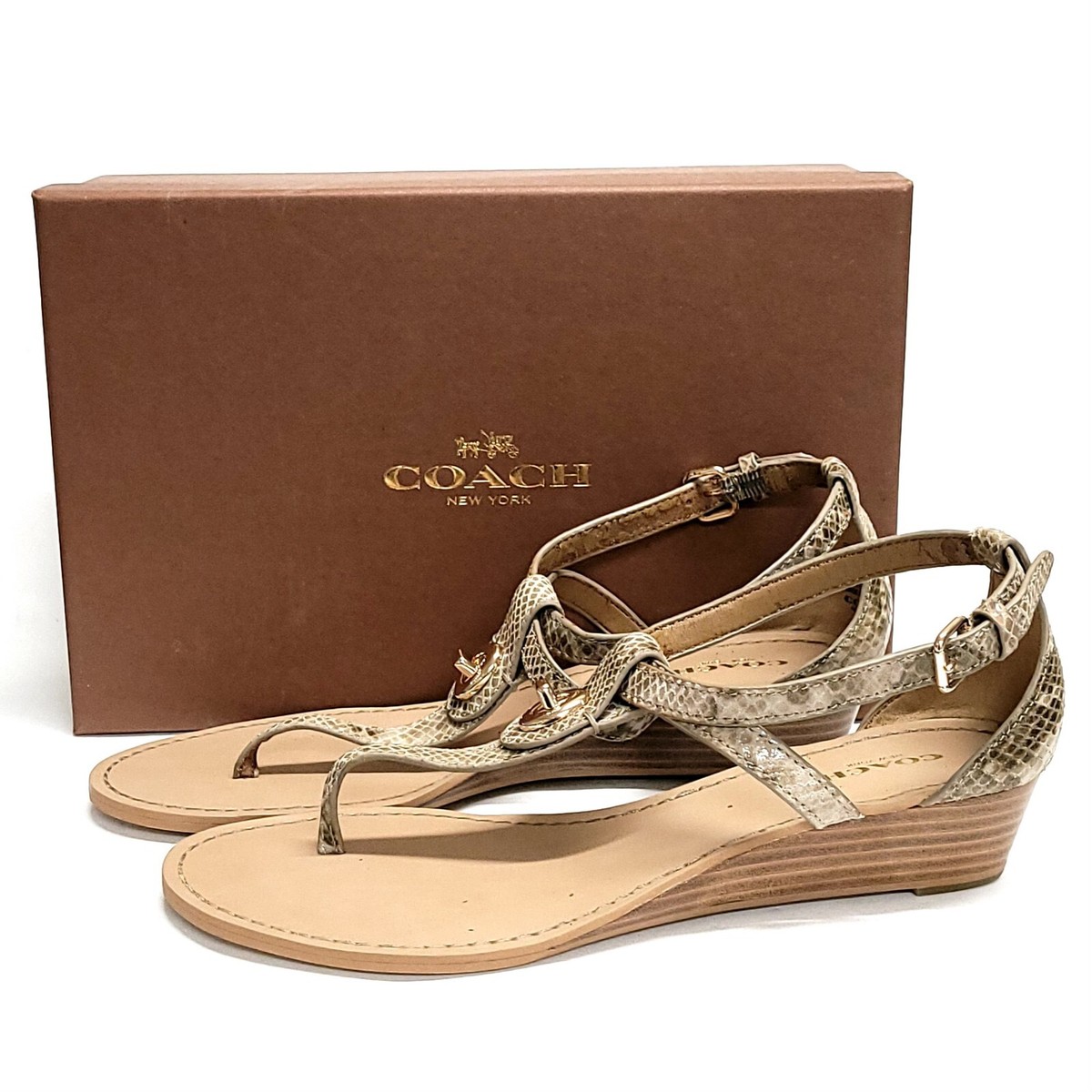 【COACH】Women's Heritage Hardware Thong Sandals Amazon.com | Coach Women's Heritage Hardware Thong Sandal