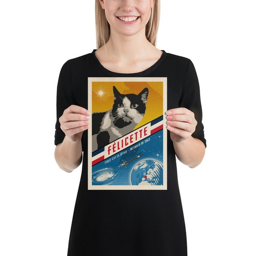 Felicette, Erste Katze im All, Frankreich, 1963 — Vintage Weltraumplakat, Retro Space - Bild 7 von 11