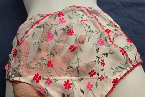 Adore Me Womens Bikini Panties Size 4X Tan/Beige Red White Lot of 2 - Picture 8 of 20