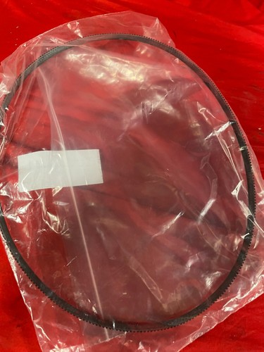 Ferrari 208/308/Mondial Water/Alternator Pump Belt #117435 - Picture 4 of 4