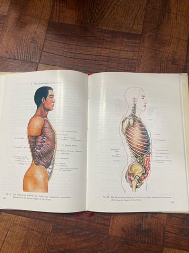 Anatomical Atlas of Chinese Acupuncture points by Chen Jing 1988 Harcover  - Picture 2 of 4