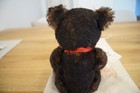 Bild 7 von 7